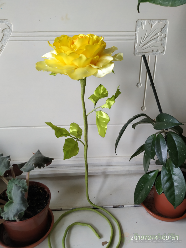 <div style=margin-left:10px><h1>Роза "солнышко"</h1><p><a href="/catalog/ukrasheniya/">Прикраси</a> » <a href="/catalog/ukrasheniya/podarki/">Подарунки</a></p><i class="fa fa-map-marker"></i> Днепропетровская область, Каменское<br /><br /><div class="socdata"><script src="//yastatic.net/es5-shims/0.0.2/es5-shims.min.js"></script>
                                            <script src="//yastatic.net/share2/share.js"></script>
                                            <div class="ya-share2" data-services="facebook,gplus,twitter,lj,viber,whatsapp,skype" data-counter=""></div></div>