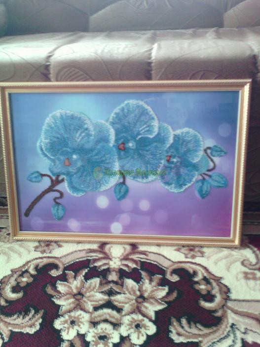 <div style=margin-left:10px><h1>Картина Орхидея</h1><p><a href="/catalog/kartiny/">Картини</a> » <a href="/catalog/kartiny/vyshitye/">Вишиті</a></p><i class="fa fa-map-marker"></i> Харьковская область, Чугуев<br /><br /><div class="socdata"><script src="//yastatic.net/es5-shims/0.0.2/es5-shims.min.js"></script>
                                            <script src="//yastatic.net/share2/share.js"></script>
                                            <div class="ya-share2" data-services="facebook,gplus,twitter,lj,viber,whatsapp,skype" data-counter=""></div></div>