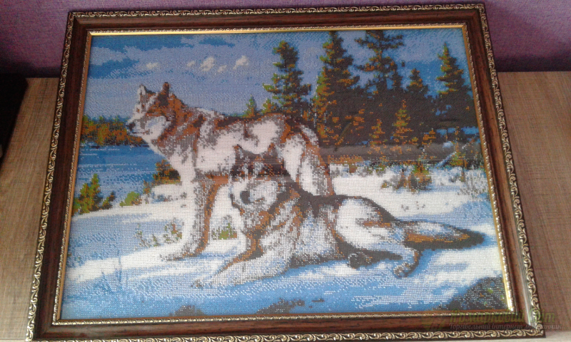 <div style=margin-left:10px><h1>Картина "волки на снегу"</h1><p><a href="/catalog/kartiny/">Картини</a> » <a href="/catalog/kartiny/vyshitye/">Вишиті</a></p><i class="fa fa-map-marker"></i> Сумская область, Тростянец<br /><br /><div class="socdata"><script src="//yastatic.net/es5-shims/0.0.2/es5-shims.min.js"></script>
                                            <script src="//yastatic.net/share2/share.js"></script>
                                            <div class="ya-share2" data-services="facebook,gplus,twitter,lj,viber,whatsapp,skype" data-counter=""></div></div>