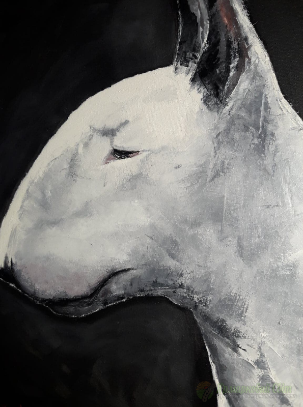 <div style=margin-left:10px><h1>Друг</h1><p><a href="/catalog/kartiny/">Картини</a> » <a href="/catalog/kartiny/jivopis/">Живопис</a></p><i class="fa fa-map-marker"></i> Кировоградская область, Кировоград<br /><br /><div class="socdata"><script src="//yastatic.net/es5-shims/0.0.2/es5-shims.min.js"></script>
                                            <script src="//yastatic.net/share2/share.js"></script>
                                            <div class="ya-share2" data-services="facebook,gplus,twitter,lj,viber,whatsapp,skype" data-counter=""></div></div>