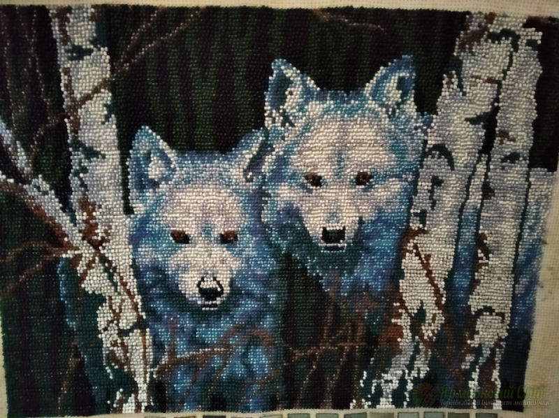 <div style=margin-left:10px><h1>Картина вишита бісером « Пара вовків»</h1><p><a href="/catalog/kartiny/">Картини</a> » <a href="/catalog/kartiny/vyshitye/">Вишиті</a></p><i class="fa fa-map-marker"></i> Полтавская область, Полтава<br /><br /><div class="socdata"><script src="//yastatic.net/es5-shims/0.0.2/es5-shims.min.js"></script>
                                            <script src="//yastatic.net/share2/share.js"></script>
                                            <div class="ya-share2" data-services="facebook,gplus,twitter,lj,viber,whatsapp,skype" data-counter=""></div></div>