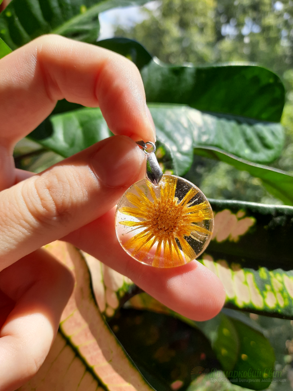 <div style=margin-left:10px><h1>Кулон Календула</h1><p><a href="/catalog/ukrasheniya/">Прикраси</a> » <a href="/catalog/ukrasheniya/aksessuary/">Аксесуари</a></p><i class="fa fa-map-marker"></i> Киевская область, Киев<br /><br /><div class="socdata"><script src="//yastatic.net/es5-shims/0.0.2/es5-shims.min.js"></script>
                                            <script src="//yastatic.net/share2/share.js"></script>
                                            <div class="ya-share2" data-services="facebook,gplus,twitter,lj,viber,whatsapp,skype" data-counter=""></div></div>