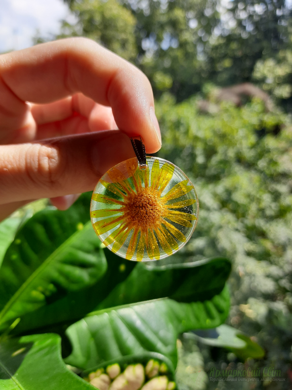 <div style=margin-left:10px><h1>Кулон з ювелірної смоли - Календула </h1><p><a href="/catalog/ukrasheniya/">Прикраси</a> » <a href="/catalog/ukrasheniya/aksessuary/">Аксесуари</a></p><i class="fa fa-map-marker"></i> Киевская область, Киев<br /><br /><div class="socdata"><script src="//yastatic.net/es5-shims/0.0.2/es5-shims.min.js"></script>
                                            <script src="//yastatic.net/share2/share.js"></script>
                                            <div class="ya-share2" data-services="facebook,gplus,twitter,lj,viber,whatsapp,skype" data-counter=""></div></div>