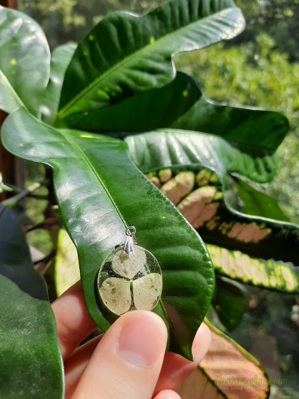 <div style=margin-left:10px><h1>Кулон з ювелірної смоли </h1><p><a href="/catalog/ukrasheniya/">Прикраси</a> » <a href="/catalog/ukrasheniya/aksessuary/">Аксесуари</a></p><i class="fa fa-map-marker"></i> Киевская область, Киев<br /><br /><div class="socdata"><script src="//yastatic.net/es5-shims/0.0.2/es5-shims.min.js"></script>
                                            <script src="//yastatic.net/share2/share.js"></script>
                                            <div class="ya-share2" data-services="facebook,gplus,twitter,lj,viber,whatsapp,skype" data-counter=""></div></div>