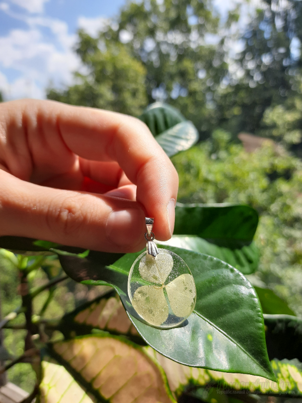 <div style=margin-left:10px><h1>Кулон з ювелірної смоли </h1><p><a href="/catalog/ukrasheniya/">Прикраси</a> » <a href="/catalog/ukrasheniya/aksessuary/">Аксесуари</a></p><i class="fa fa-map-marker"></i> Киевская область, Киев<br /><br /><div class="socdata"><script src="//yastatic.net/es5-shims/0.0.2/es5-shims.min.js"></script>
                                            <script src="//yastatic.net/share2/share.js"></script>
                                            <div class="ya-share2" data-services="facebook,gplus,twitter,lj,viber,whatsapp,skype" data-counter=""></div></div>