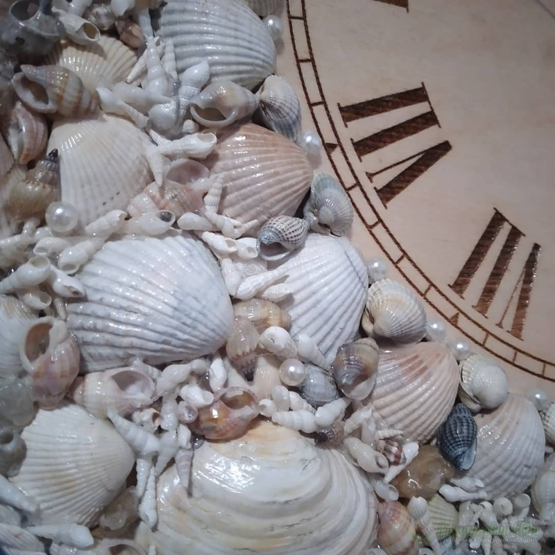 <div style=margin-left:10px><h1>Настенные часы "Море"</h1><p><a href="/catalog/dekor/">Декор</a> » <a href="/catalog/dekor/drugoe/">Iнше</a></p><i class="fa fa-map-marker"></i> Запорожская область, Бердянск<br /><br /><div class="socdata"><script src="//yastatic.net/es5-shims/0.0.2/es5-shims.min.js"></script>
                                            <script src="//yastatic.net/share2/share.js"></script>
                                            <div class="ya-share2" data-services="facebook,gplus,twitter,lj,viber,whatsapp,skype" data-counter=""></div></div>