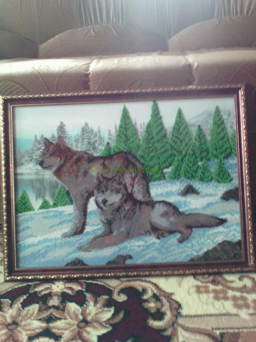 <div style=margin-left:10px><h1>картина Волки</h1><p><a href="/catalog/kartiny/">Картини</a> » <a href="/catalog/kartiny/vyshitye/">Вишиті</a></p><i class="fa fa-map-marker"></i> Харьковская область, Чугуев<br /><br /><div class="socdata"><script src="//yastatic.net/es5-shims/0.0.2/es5-shims.min.js"></script>
                                            <script src="//yastatic.net/share2/share.js"></script>
                                            <div class="ya-share2" data-services="facebook,gplus,twitter,lj,viber,whatsapp,skype" data-counter=""></div></div>