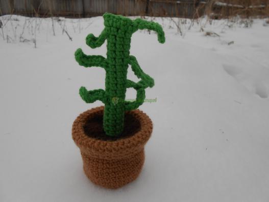 <div style=margin-left:10px><h1>деревце которое растет.</h1><p><a href="/catalog/podarki--suveniry/">Подарунки, сувеніри</a> » <a href="/catalog/podarki--suveniry/podarki/">Подарунки</a></p><i class="fa fa-map-marker"></i> Донецкая область, Славянск<br /><br /><div class="socdata"><script src="//yastatic.net/es5-shims/0.0.2/es5-shims.min.js"></script>
                                            <script src="//yastatic.net/share2/share.js"></script>
                                            <div class="ya-share2" data-services="facebook,gplus,twitter,lj,viber,whatsapp,skype" data-counter=""></div></div>