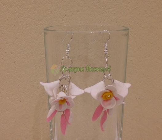 <div style=margin-left:10px><h1>Нежность</h1><p><a href="/catalog/bijuteriya/">Біжутерія</a> » <a href="/catalog/bijuteriya/sergi/">Сережки</a></p><i class="fa fa-map-marker"></i> Киевская область, Киев<br /><br /><div class="socdata"><script src="//yastatic.net/es5-shims/0.0.2/es5-shims.min.js"></script>
                                            <script src="//yastatic.net/share2/share.js"></script>
                                            <div class="ya-share2" data-services="facebook,gplus,twitter,lj,viber,whatsapp,skype" data-counter=""></div></div>