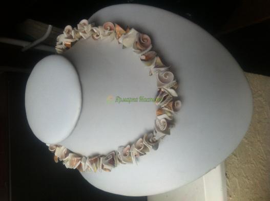 <div style=margin-left:10px><h1>Бусы из ракушки и перламутра</h1><p><a href="/catalog/yvelirnue_izdeliya/">Ювелірні вироби
</a> » <a href="/catalog/yvelirnue_izdeliya/busy/">Намиста</a></p><i class="fa fa-map-marker"></i> Львовская область, Львов<br /><br /><div class="socdata"><script src="//yastatic.net/es5-shims/0.0.2/es5-shims.min.js"></script>
                                            <script src="//yastatic.net/share2/share.js"></script>
                                            <div class="ya-share2" data-services="facebook,gplus,twitter,lj,viber,whatsapp,skype" data-counter=""></div></div>