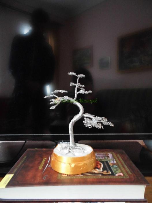 <div style=margin-left:10px><h1>Дерево бонсай из проволоки</h1><p><a href="/catalog/podarki--suveniry/">Подарунки, сувеніри</a> » <a href="/catalog/podarki--suveniry/suveniry/">Сувеніри</a></p><i class="fa fa-map-marker"></i> Сумская область, Шостка<br /><br /><div class="socdata"><script src="//yastatic.net/es5-shims/0.0.2/es5-shims.min.js"></script>
                                            <script src="//yastatic.net/share2/share.js"></script>
                                            <div class="ya-share2" data-services="facebook,gplus,twitter,lj,viber,whatsapp,skype" data-counter=""></div></div>