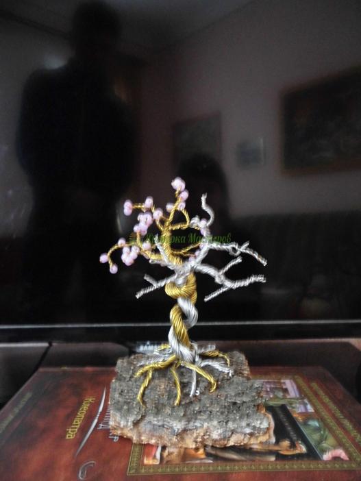 <div style=margin-left:10px><h1>Дерево бонсай из проволоки</h1><p><a href="/catalog/podarki--suveniry/">Подарунки, сувеніри</a> » <a href="/catalog/podarki--suveniry/suveniry/">Сувеніри</a></p><i class="fa fa-map-marker"></i> Сумская область, Шостка<br /><br /><div class="socdata"><script src="//yastatic.net/es5-shims/0.0.2/es5-shims.min.js"></script>
                                            <script src="//yastatic.net/share2/share.js"></script>
                                            <div class="ya-share2" data-services="facebook,gplus,twitter,lj,viber,whatsapp,skype" data-counter=""></div></div>