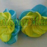 <div style=margin-left:10px><h1>заколки</h1><p><a href="/catalog/ukrasheniya/">Прикраси</a> » <a href="/catalog/ukrasheniya/aksessuary/">Аксесуари</a></p><i class="fa fa-map-marker"></i> Ровенская область, Степань<br /><br /><div class="socdata"><script src="//yastatic.net/es5-shims/0.0.2/es5-shims.min.js"></script>
                                            <script src="//yastatic.net/share2/share.js"></script>
                                            <div class="ya-share2" data-services="facebook,gplus,twitter,lj,viber,whatsapp,skype" data-counter=""></div></div>