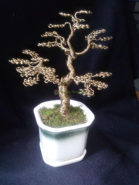 <div style=margin-left:10px><h1>Дерево бонсай </h1><p><a href="/catalog/podarki--suveniry/">Подарунки, сувеніри</a> » <a href="/catalog/podarki--suveniry/suveniry/">Сувеніри</a></p><i class="fa fa-map-marker"></i> Днепропетровская область, Днепропетровск<br /><br /><div class="socdata"><script src="//yastatic.net/es5-shims/0.0.2/es5-shims.min.js"></script>
                                            <script src="//yastatic.net/share2/share.js"></script>
                                            <div class="ya-share2" data-services="facebook,gplus,twitter,lj,viber,whatsapp,skype" data-counter=""></div></div>