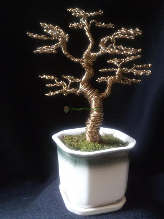 <div style=margin-left:10px><h1>Дерево бонсай </h1><p><a href="/catalog/podarki--suveniry/">Подарунки, сувеніри</a> » <a href="/catalog/podarki--suveniry/suveniry/">Сувеніри</a></p><i class="fa fa-map-marker"></i> Днепропетровская область, Днепропетровск<br /><br /><div class="socdata"><script src="//yastatic.net/es5-shims/0.0.2/es5-shims.min.js"></script>
                                            <script src="//yastatic.net/share2/share.js"></script>
                                            <div class="ya-share2" data-services="facebook,gplus,twitter,lj,viber,whatsapp,skype" data-counter=""></div></div>