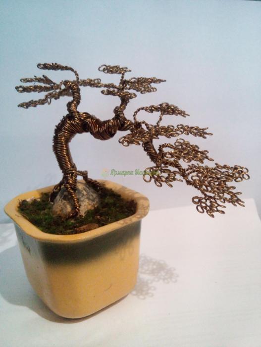 <div style=margin-left:10px><h1>Бонсай из проволоки</h1><p><a href="/catalog/podarki--suveniry/">Подарунки, сувеніри</a> » <a href="/catalog/podarki--suveniry/suveniry/">Сувеніри</a></p><i class="fa fa-map-marker"></i> Днепропетровская область, Днепропетровск<br /><br /><div class="socdata"><script src="//yastatic.net/es5-shims/0.0.2/es5-shims.min.js"></script>
                                            <script src="//yastatic.net/share2/share.js"></script>
                                            <div class="ya-share2" data-services="facebook,gplus,twitter,lj,viber,whatsapp,skype" data-counter=""></div></div>
