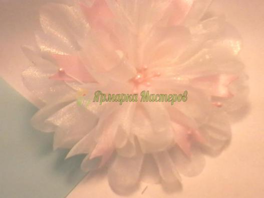 <div style=margin-left:10px><h1>Нарядные Банты</h1><p><a href="/catalog/aksessuary/">Аксесуари</a> » <a href="/catalog/aksessuary/banty/">Банти</a></p><i class="fa fa-map-marker"></i> Одесская область, Одесса<br /><br /><div class="socdata"><script src="//yastatic.net/es5-shims/0.0.2/es5-shims.min.js"></script>
                                            <script src="//yastatic.net/share2/share.js"></script>
                                            <div class="ya-share2" data-services="facebook,gplus,twitter,lj,viber,whatsapp,skype" data-counter=""></div></div>