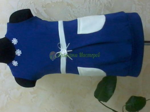 <div style=margin-left:10px><h1>Платьица для девочек</h1><p><a href="/catalog/shite/">Шиття</a> » <a href="/catalog/shite/shite--odejda/">Шиття, одяг</a></p><i class="fa fa-map-marker"></i> Одесская область, Одесса<br /><br /><div class="socdata"><script src="//yastatic.net/es5-shims/0.0.2/es5-shims.min.js"></script>
                                            <script src="//yastatic.net/share2/share.js"></script>
                                            <div class="ya-share2" data-services="facebook,gplus,twitter,lj,viber,whatsapp,skype" data-counter=""></div></div>