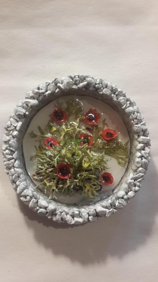 <div style=margin-left:10px><h1>Магнит из натуральных материалоа</h1><p><a href="/catalog/podarki--suveniry/">Подарунки, сувеніри</a> » <a href="/catalog/podarki--suveniry/suveniry/">Сувеніри</a></p><i class="fa fa-map-marker"></i> Херсонская область, Херсон<br /><br /><div class="socdata"><script src="//yastatic.net/es5-shims/0.0.2/es5-shims.min.js"></script>
                                            <script src="//yastatic.net/share2/share.js"></script>
                                            <div class="ya-share2" data-services="facebook,gplus,twitter,lj,viber,whatsapp,skype" data-counter=""></div></div>