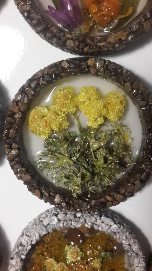 <div style=margin-left:10px><h1>Магнит из натуральных материалоа</h1><p><a href="/catalog/podarki--suveniry/">Подарунки, сувеніри</a> » <a href="/catalog/podarki--suveniry/suveniry/">Сувеніри</a></p><i class="fa fa-map-marker"></i> Херсонская область, Херсон<br /><br /><div class="socdata"><script src="//yastatic.net/es5-shims/0.0.2/es5-shims.min.js"></script>
                                            <script src="//yastatic.net/share2/share.js"></script>
                                            <div class="ya-share2" data-services="facebook,gplus,twitter,lj,viber,whatsapp,skype" data-counter=""></div></div>